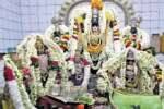 லஷ்மி நரசிம்மர் கோவிலில் அன்னப்பாவாடை உற்சவம்