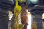 விருத்தாசலம் விருத்தகிரீஸ்வரர் கோவிலில் பிரதோஷ வழிபாடு