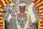 மூங்காத்தம்மன் கோவிலில் ஆடி வெள்ளி கொண்டாட்டம்