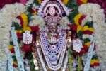 சிதம்பரம் மாரியம்மன் கோவில் ஆடி தீமிதி உற்சவ தேரோட்டம்
