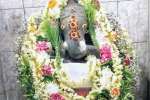 அவலுார்பேட்டையில் சங்கடஹர சதுர்த்தி அபிஷேகம்