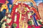 திருப்பரங்குன்றத்தில் ஆடிக்கார்த்திகை: தங்க மயில் வாகனத்தில் சுவாமி உலா