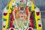 பட்டர் புரூட் அலங்காரத்தில் வெள்ளாத்தூர் அம்மன்