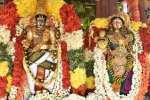 திருக்கோஷ்டியூர் சவுமியநாராயணப் பெருமாள் கோயிலில் ஆடித் தேரோட்டம்
