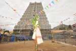 தி.மலை அருணாசலேஸ்வரர் கோவிலில் பந்தக்கால் முகூர்த்தம்