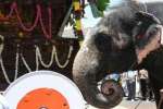 பழநி மாரியம்மன் கோவில் புதிய தேர் வெள்ளோட்டம்