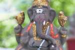 விதை விநாயகர் சிலைகள் தயாரிப்பு: இப்படியும் காக்கலாம் இயற்கையை!