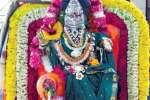 காடாம்பாடி விநாயகர் கோவிலில் கலச பூஜை