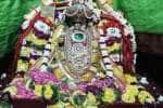 ராஜ அலங்காரத்தில் அருள்பாலித்த அழகிரிநாத சுவாமி