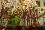 பூப்பல்லக்கில் திருப்பரங்குன்றம் திரும்பினார் முருகன்