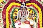திண்டுக்கல், ரெட்டியார்சத்திரத்தில் வழுக்கு மரம் ஏறுதல் உறியடி திருவிழா