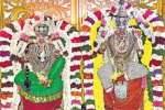 புதுச்சேரி அங்கையற்கண்ணி சுந்தரேசர் கோவிலில் திருக்கல்யாணம்