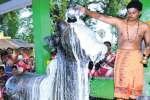 சிங்கம்புணரி சிவபுரிபட்டியில் சுயம்பிரகாச ஈஸ்வரர் கோயில் பிரதோஷ விழா