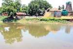 சிங்கம்புணரி பெருமாள் கோயில் தெப்பக்குளம் சீரமைக்கப்படுமா