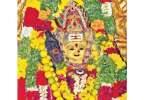 திருப்பத்தூரில் அருகே கோட்டையிருப்பு சூரமாகாளியம்மன் கோயில் வருஷாபிஷேகம்