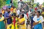 முத்துநாயகி அம்மன் கோயில் புரட்டாசி திருவிழா