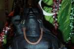 தியான லிங்க வடிவத்தில் திருக்கழுக்குன்றத்தில் கொலு