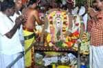 செஞ்சி வெங்கட்ரமணர் கோவிலில் திருக்கல்யாணம்