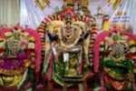 நெட்டப்பாக்கம் மடுகரை  வெங்கடேச பெருமாள் கோவிலில் திருக்கல்யாண உற்சவம்