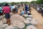 கமுதி ஆண்கள் மட்டுமே வழிபடும் விநோத திருவிழா