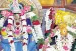 கண்டனூர் பாலையூர் மகாலெட்சுமி கோயிலில் நவராத்திரி விழா