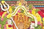 விருதுநகரில் நவராத்திரி அம்பு எய்யும் விழா புலி வேடமிட்டு ஊர்வலமாக வந்து வழிபாடு