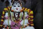 பொள்ளாச்சியில் சிவ பெருமானுக்கு அன்னாபிஷேகம்