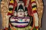 உடுமலை, சுற்றுப்பகுதி சிவாலயங்களில் அன்னாபிஷேகம் வழிபாடு