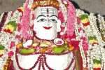 போடி சிவனுக்கு அன்னாபிஷேகம்