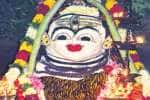 அருப்புக்கோட்டை மீனாட்சி சொக்கநாதர் கோயிலில் அன்னாபிஷேக விழா
