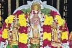 மயிலம் கோயிலில் கிருத்திகை விழா