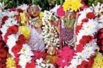 திருத்தணியில் கிருஷ்ணர் கல்யாண உற்சவ விழா