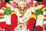 சிங்கம்புணரியில் வராகி அம்மனுக்கு வருஷாபிஷேக விழா