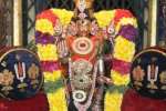 சேலம் சவுந்திரராஜ பெருமாளுக்கு 10 நாட்கள் டோலோற்சவம்