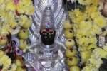 ஊத்துக்கோட்டை புற்றுக்கோவில்களில் சிறப்பு பூஜை