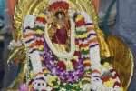 திருக்கார்த்திகை விழா: பழநியில் குவிந்த பக்தர்கள்