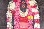 ஞாயிறு போற்றுதும்.... ஞாயிறு போற்றதும்....