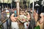 திருப்பூர் ஐயப்பன் கோவிலில் ஆறாட்டு உற்சவம் துவக்கம்