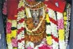 திந்திரணீஸ்வரர் கோவிலில் காலபைவராஷ்டமி விழா