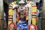 திருக்கோவிலூர் பெருமாள் கோவில்களில் பகல் பத்து உற்சவம்