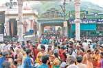 பழநியில் குவிந்த பக்தர்கள் மூன்று மணிநேரம் காத்திருப்பு