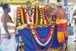 அன்னுார் மன்னீஸ்வரர் கோவிலில் திருக்கல்யாணம்