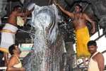 தி.மலை அருணாசலேஸ்வரர் கோயிலில் பிரதோஷ வழிபாடு