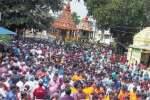மன்னீஸ்வரர் கோவில் தேரோட்டம்: பக்தர்கள் பரவசம்