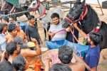 சோடஷ மகாலட்சுமி யாக பூஜை துவங்கியது: பக்தர்கள் பரவசம்