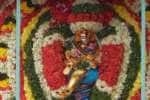 பொள்ளாச்சி கோவில்களில் ஆருத்ரா தரிசனம்: திருக்கல்யாணத்தில் பரவசம்