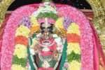 பண்ருட்டி திருவதிகை வீரட்டானேஸ்வரர் கோவிலில் ஊஞ்சல் உற்சவத்தில் சுவாமி அருள்பாலிப்பு