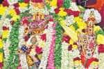 பழநியில் ஆருத்ரா தரிசனம் திரளான பக்தர்கள் பங்கேற்பு
