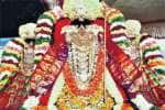 சிறப்பு அலங்காரத்தில் சரநாராயண பெருமாள்