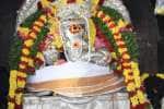 பக்தர்கள் நலன்வேண்டி பழநியில் சிறப்பு யாகபூஜை